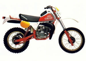 RX 250 RALLY