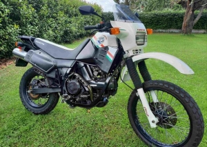 ELEFANT 650 Frecce Tricolori